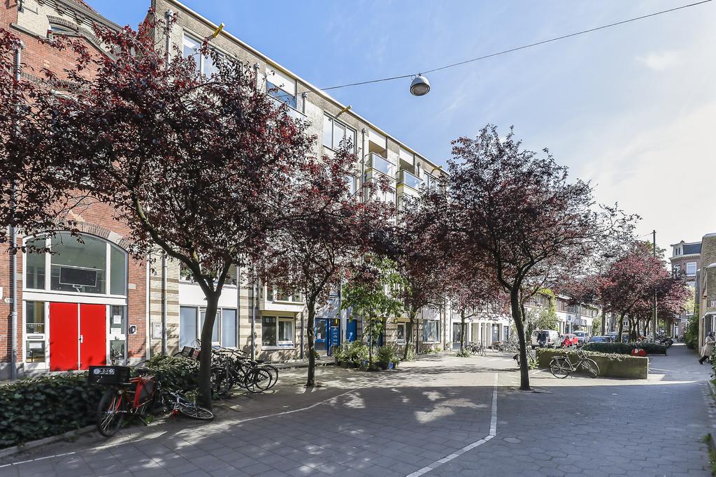 Van Ostadestraat 209 B, 1073 TN Amsterdam 36